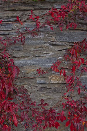 Adorned stone masonry 2