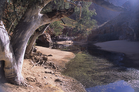 Ormiston Gorge 1