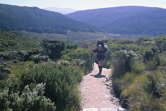 Hiking the northern section of the Overland Track