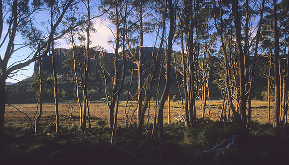 Pelion Plains 2