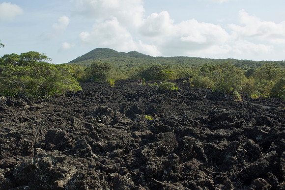 Rangitoto summit