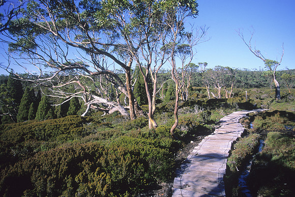 Waterfall Valley 2