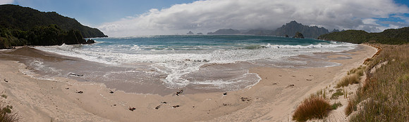 Sealers Bay on Codfish Island 1