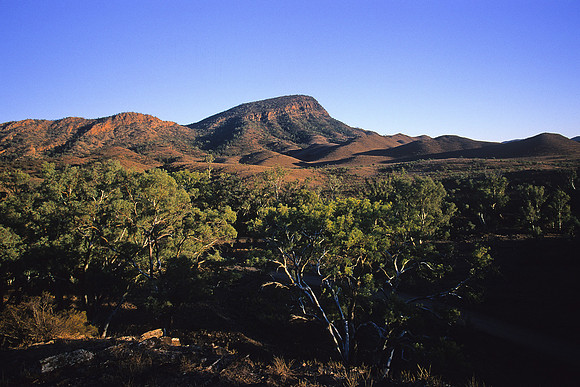 Flinders Ranges 16