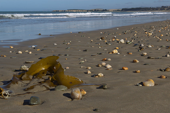 Campbell's Bay 2
