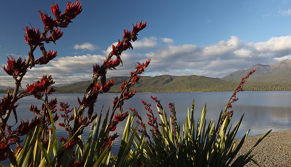View across Lake Te Anau 1