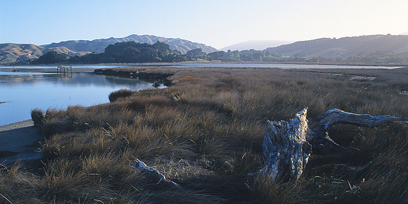 Pauatahanui Inlet 1