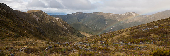 Takahe T5 Territory