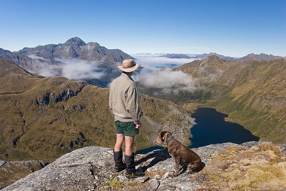 Department of Conservation staff carrying out annual takahe popu