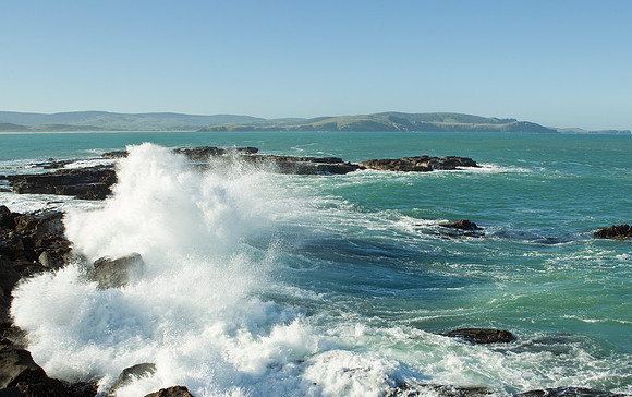 Ocean waves crash on the headland near Curio Bay