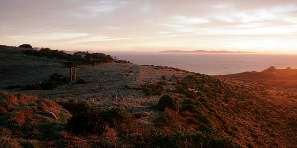 Rarotoka