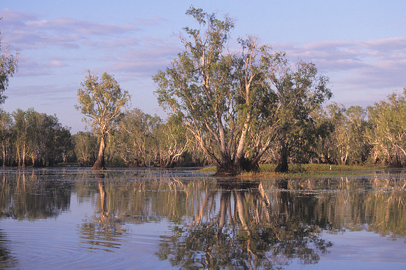 Yellow Waters 7
