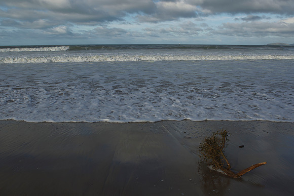 Driftwood on Waikouaiti Beach