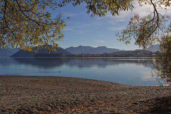 Lake Wanaka 11