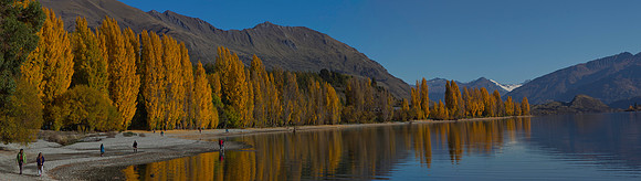 Autumn colours at Lake Wanaka 5