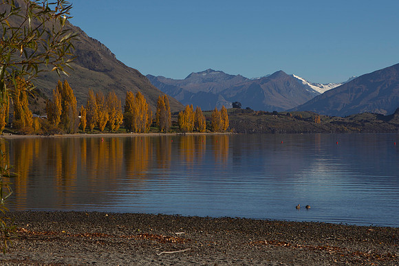 Autumn colours at Lake Wanaka 3