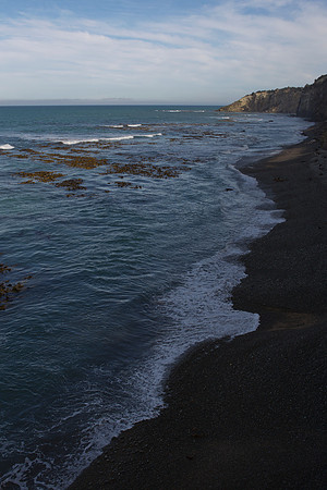 Bushy Beach  1