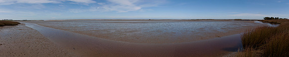 Fortrose estuary 1