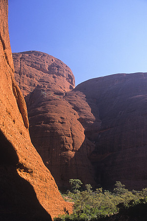 Olgas 18
