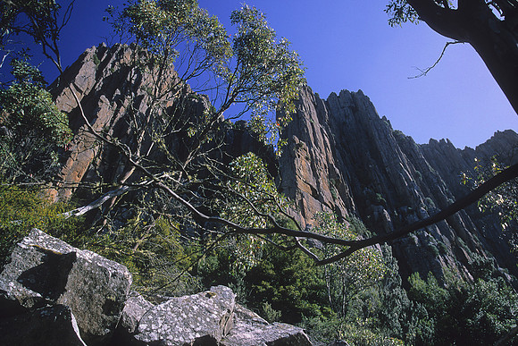 Organ Pipes on Mt Wellington 1