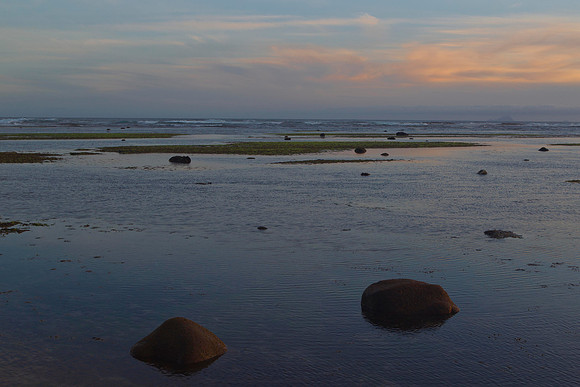 Rock platform at Knife & Steel Harbour 1