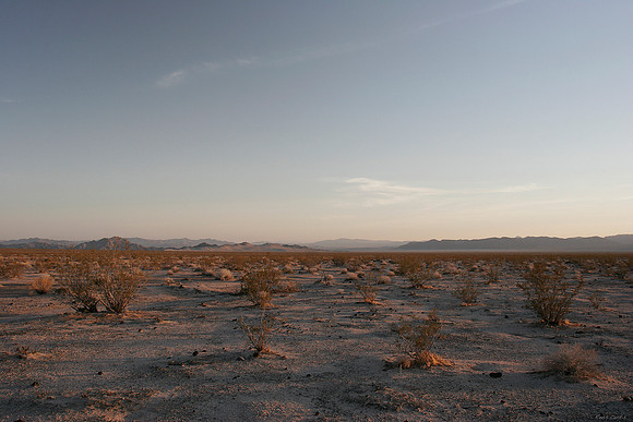 The desert at Mojave National Preserve 1