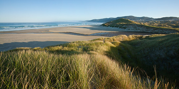 Mason Bay 6