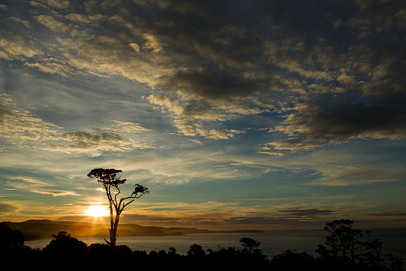 Sunrise near Papatowai in the Catlins 1