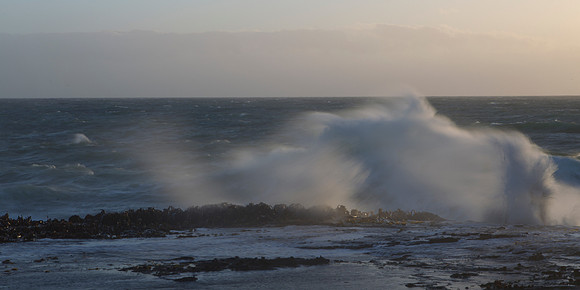 Wave action at Curio Bay 3