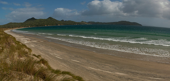 Mason Bay 1