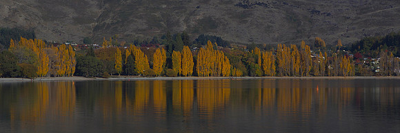 Autumn colours at Lake Wanaka 1