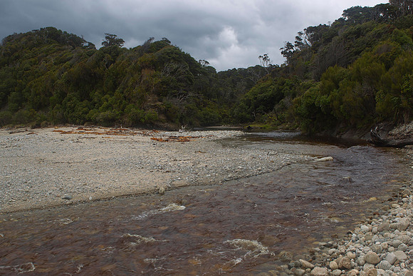 The Arn River mouth 3