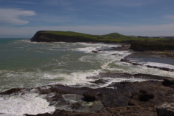 Curio Bay rock platform 2