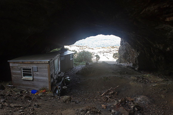 Westies Hut 1