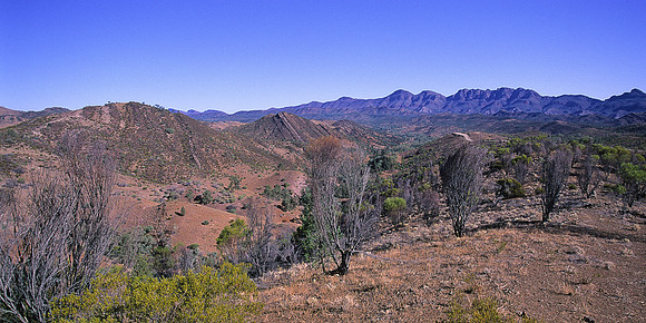 Flinders Ranges 10