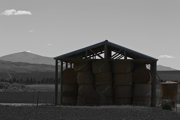 Hay shed in the Maniototo