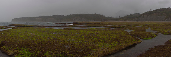 Rock platform at Knife & Steel Harbour 5