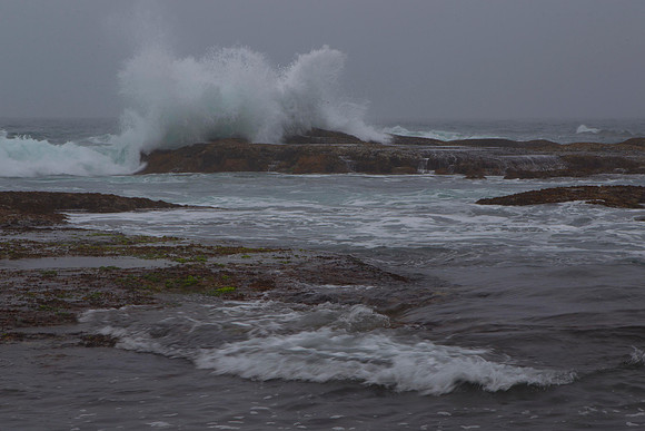 Rock platform at Knife & Steel Harbour 4