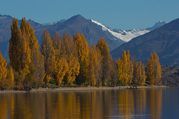 Autumn colours at Lake Wanaka 6