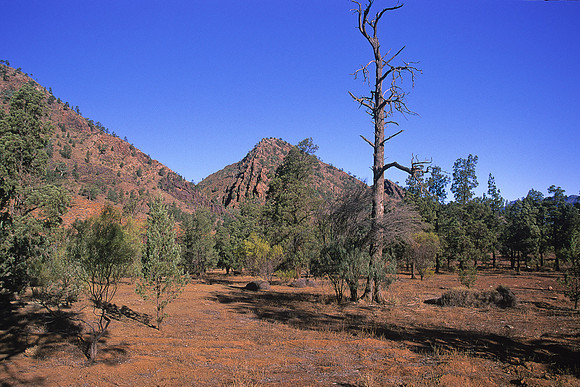 Brachina Gorge 1