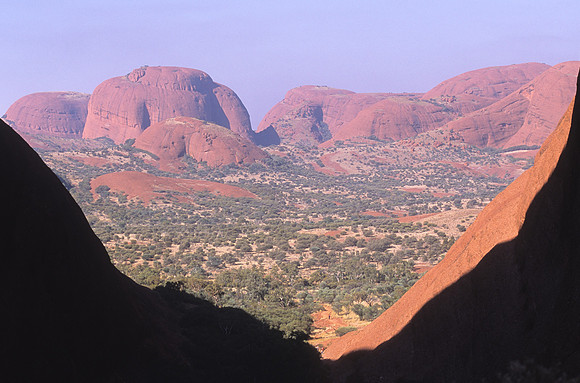 Olgas 21