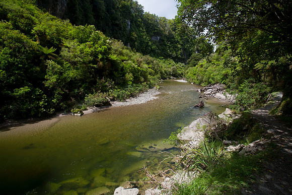 Pororari Valley 1
