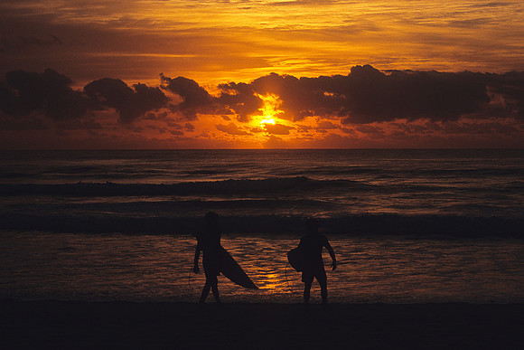Surfer's Paradise 2